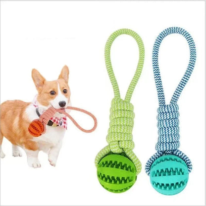 MQ Treat Balls with Rope