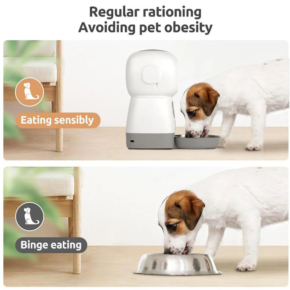 MQ Automatic Pet Feeder