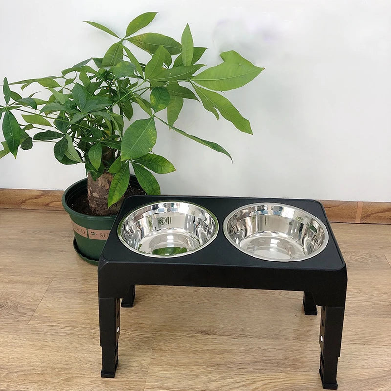 MQ Elevated Dog Feeder