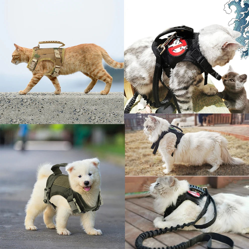 MQ Cat Harness