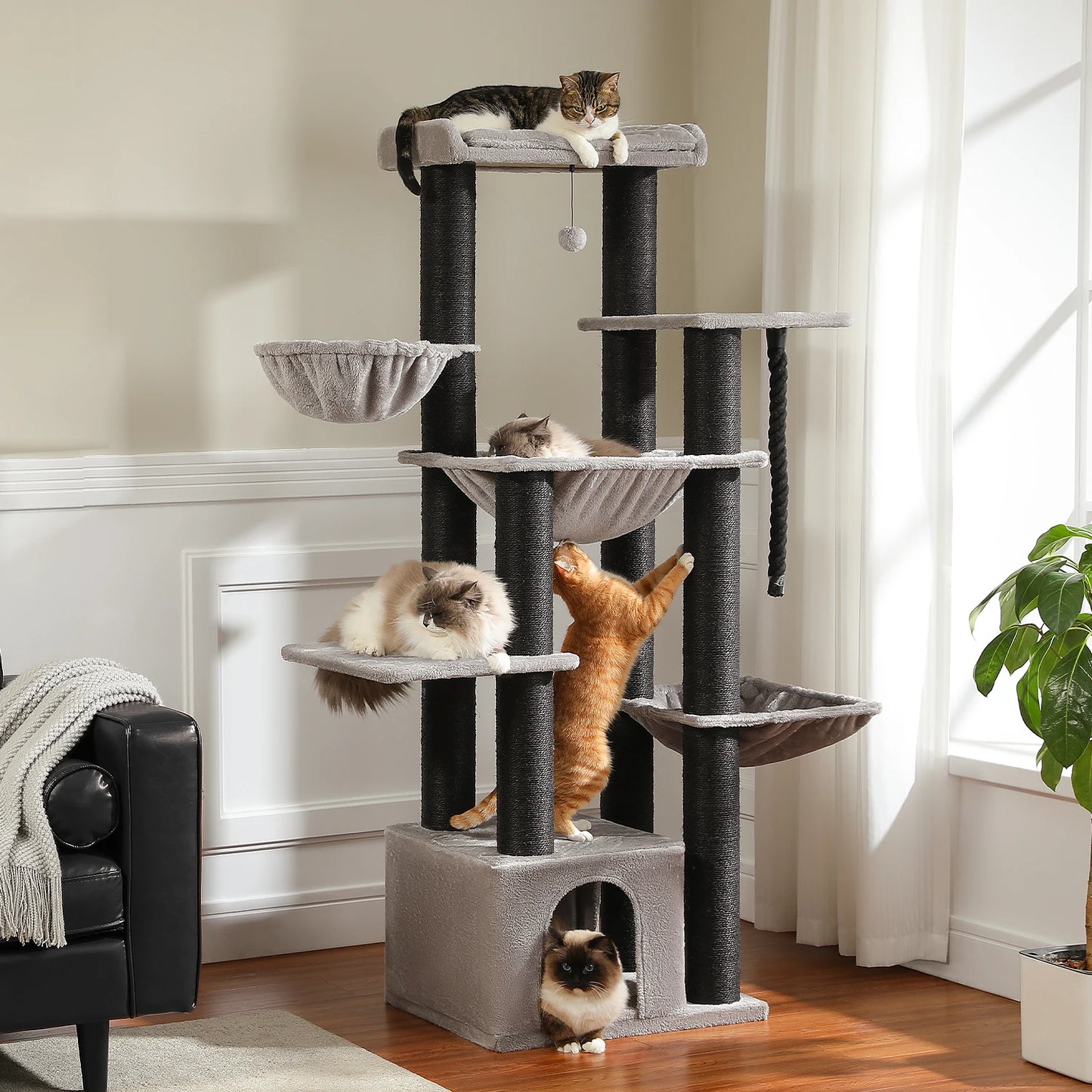 MQ Cat Tree with Scratching Posts