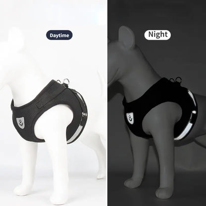 MQ Harnesses