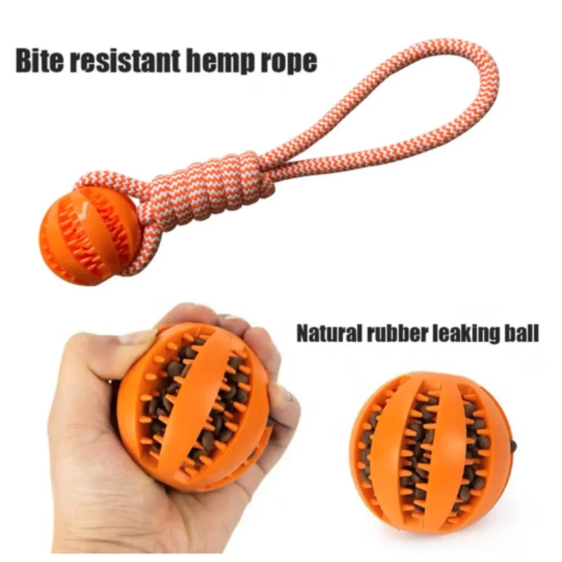 MQ Treat Balls with Rope