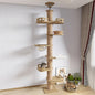 MQ Cat Tree House